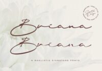 Briana Font - Featured Image