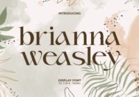 Brianna Weasley Font - Featured Image