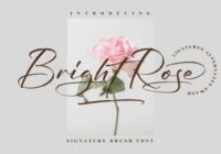 Bright Rose Font - Featured Image