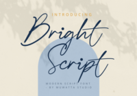 Bright Script Font - Featured Image