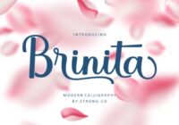 Brinita Font - Featured Image