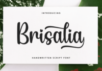 Brisalia Font - Featured Image