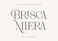 Brisca Miera Font - Featured Image