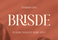 Brisde Font - Featured Image