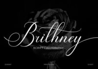 Brithney Font - Featured Image