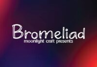 Bromeliad Font - Featured Image