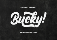 Bucky! Font - Featured Image