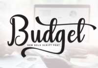 Budget Font - Featured Image