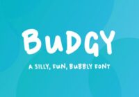 Budgy Font - Featured Image