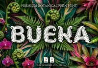 Buena Font - Featured Image