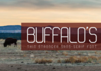 Buffalo's Font - Featured Image
