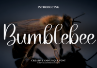 Bumblebee Font - Featured Image