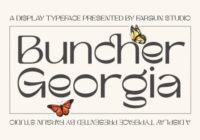 Buncher Georgia Font - Featured Image