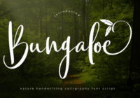 Bungaloe Font - Featured Image