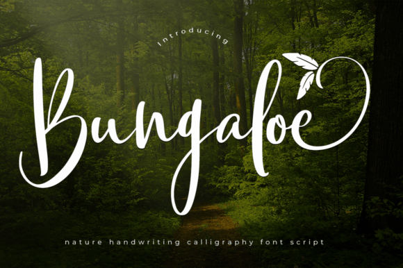 Bungaloe Font - Featured Image
