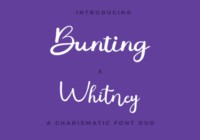 Bunting X Whitney Font - Featured Image