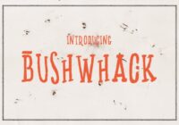 Bushwhack Font - Featured Image