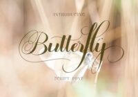 Butterfly  Font - Featured Image