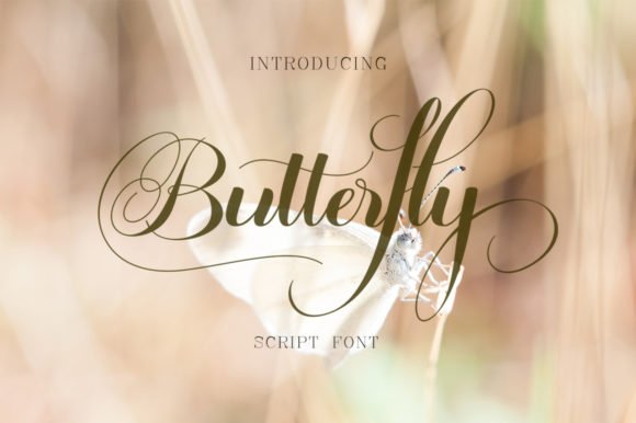 Butterfly  Font - Featured Image