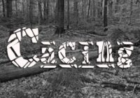 Cacing Font - Featured Image