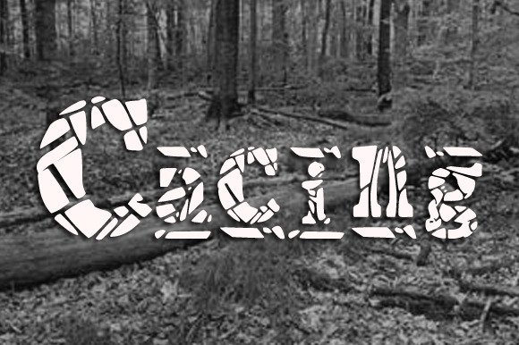 Cacing Font - Featured Image