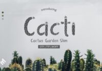 Cacti  Font - Featured Image