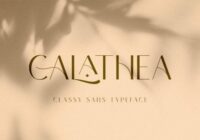 Calathea Font - Featured Image