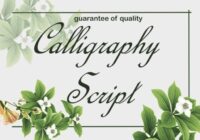 Calligraphy Script Font - Featured Image