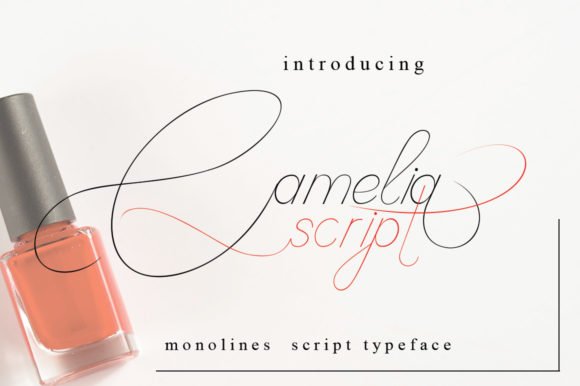 Camelia Script Font - Featured Image
