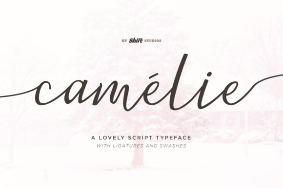 Camelie Font - Featured Image