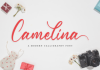 Camelina  Font - Featured Image