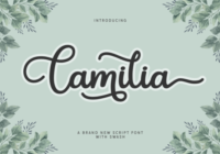 Camilia Font - Featured Image