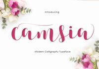 Camsia Font - Featured Image