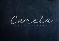 Canela Font - Featured Image