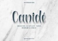 Canidé Font - Featured Image