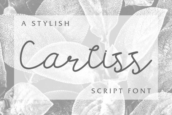 Carllis Font - Featured Image
