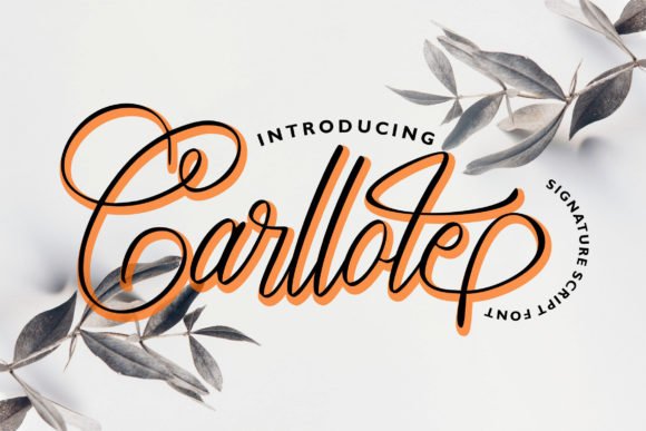 Carllote Font - Featured Image