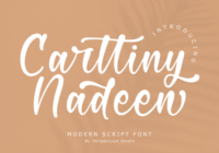 Carttiny Nadeen Font - Featured Image