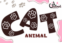 Cat Animal Font - Featured Image