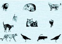 Cat E Poultry Font - Featured Image