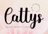 Cattys Font - Featured Image