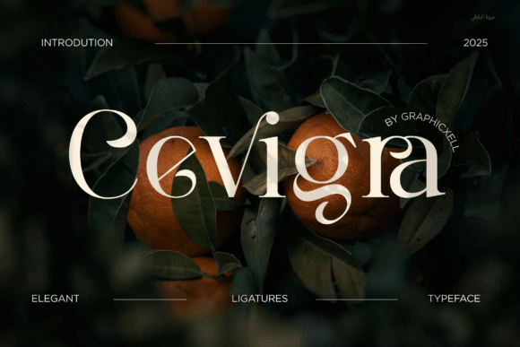 Cevigra Font - Featured Image