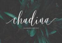 Chadina Script Font - Featured Image