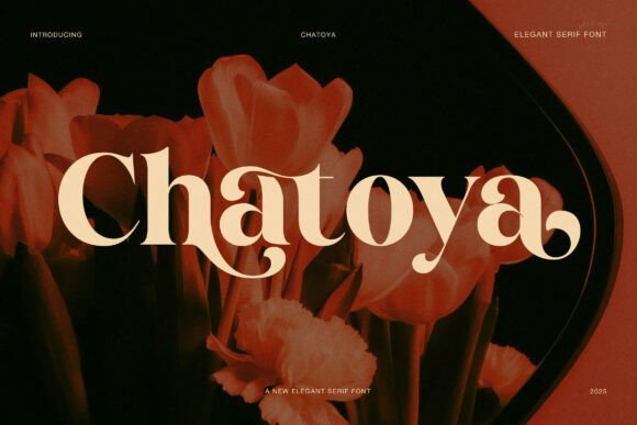 Chatoya Font Font - Featured Image