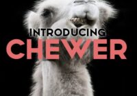 Chewer Font - Featured Image