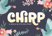Chirp Font - Featured Image