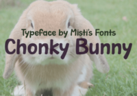 Chonky Bunny Font - Featured Image