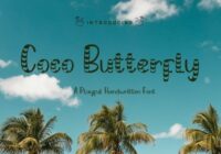 Coco Butterfly Font - Featured Image