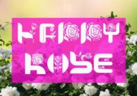 Crazy Rose Font - Featured Image