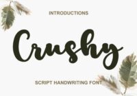 Crushy Font - Featured Image